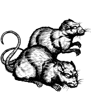 Rat, Zhentish Sewer