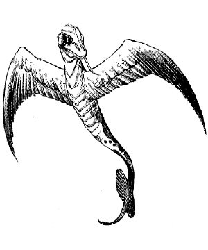 Serpent, Winged