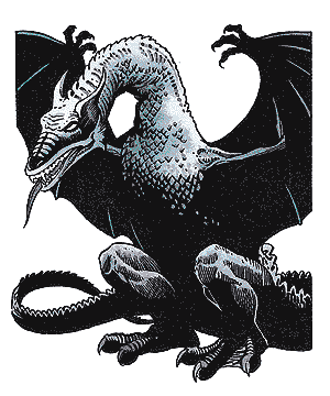 Dragon, Shadow