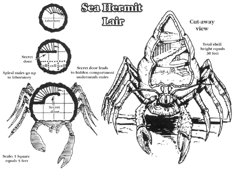 Sea Hermit Lair